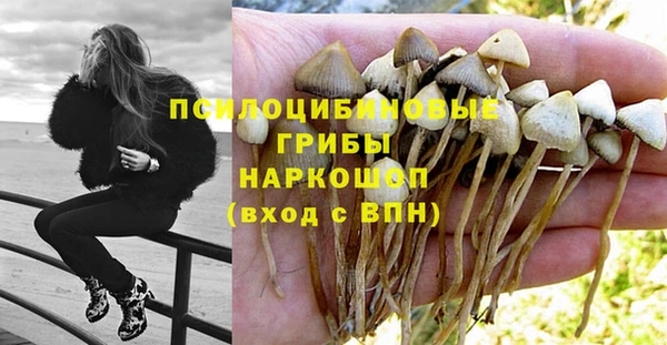 молекула духа Гусь-Хрустальный