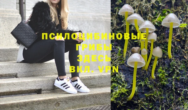 спайс Гусиноозёрск