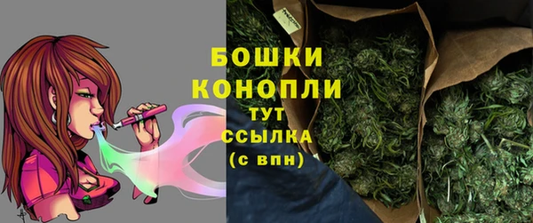 гидра Горняк