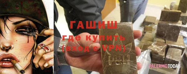 гидра Горняк